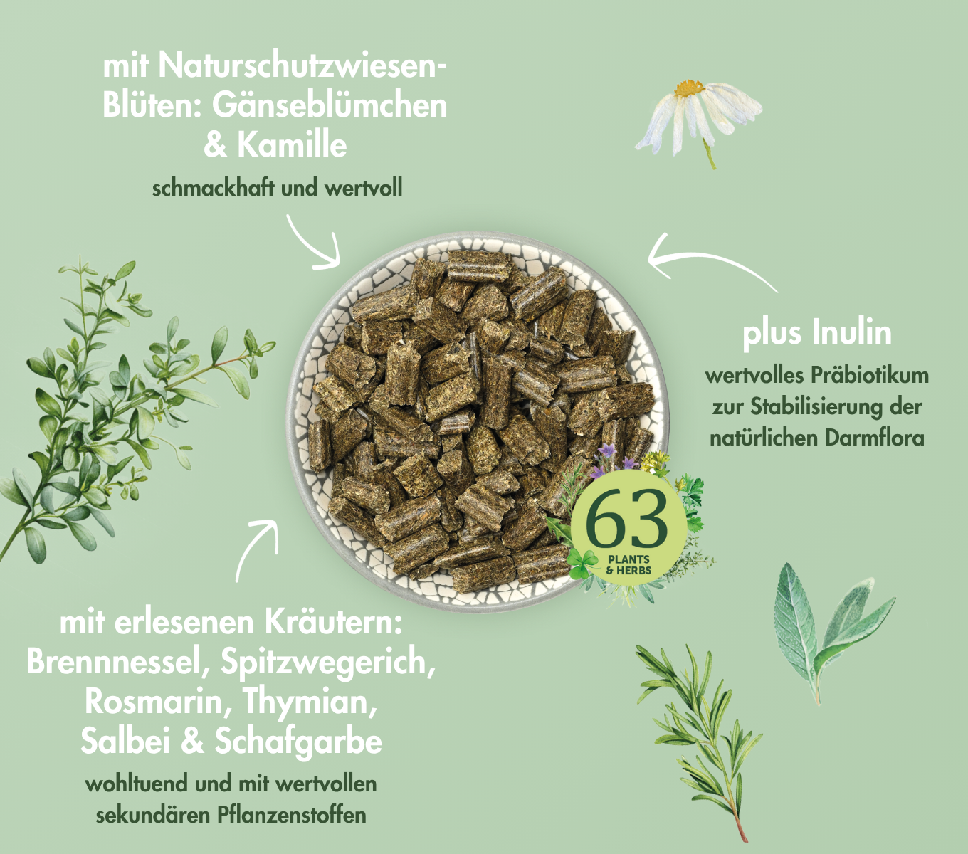 KaninchenTraum HERBS
