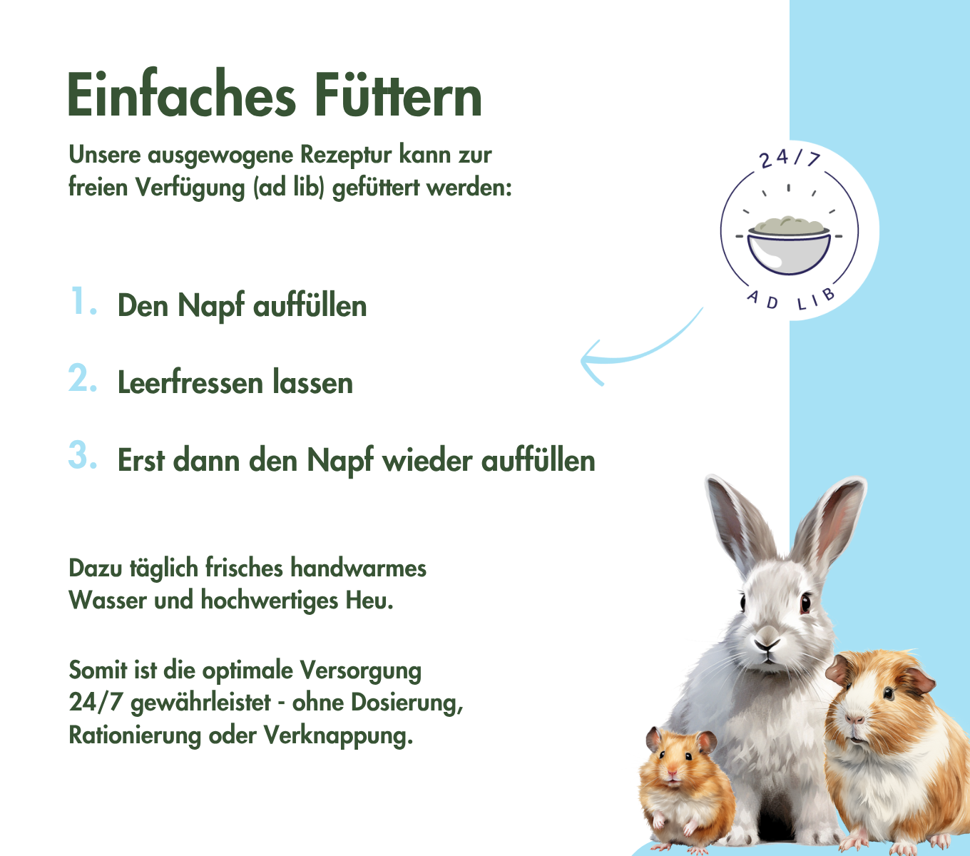 RennmausTraum EXPERT  