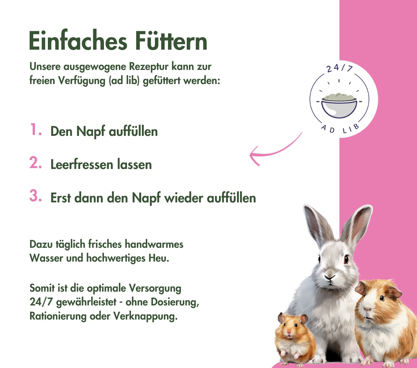 MeerschweinchenTraum SPECIAL EDITION FLOWERS