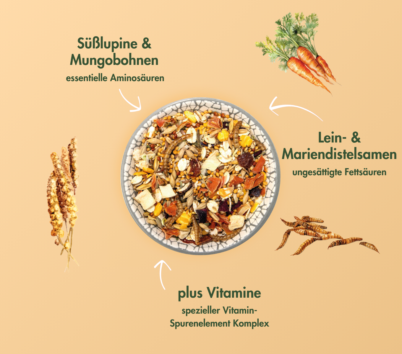 HamsterTraum EXPERT HAIR & SKIN