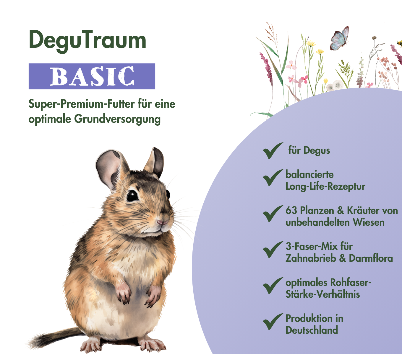 DeguTraum BASIC
