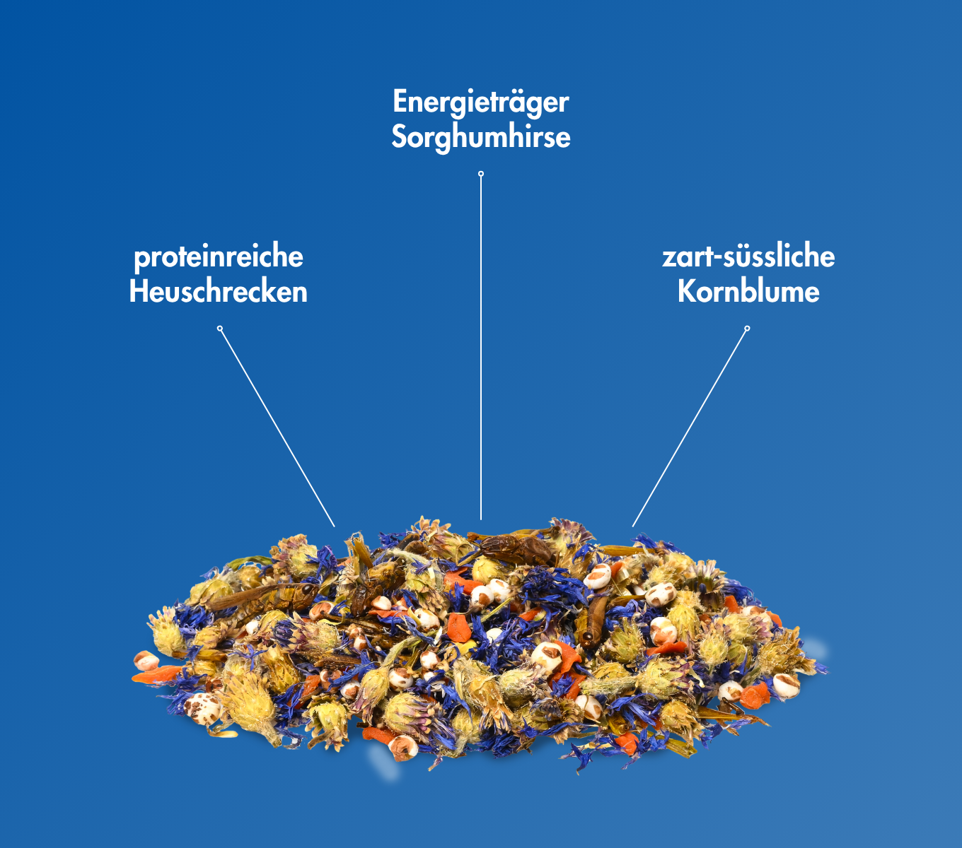 EnjoyNature - Heuschrecken-Mix 