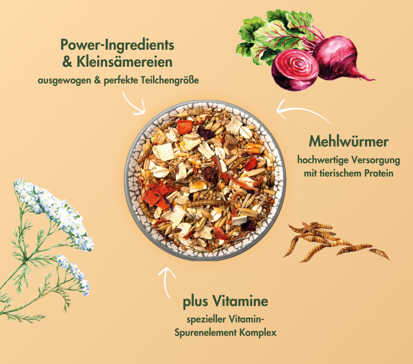 HamsterTraum EXPERT - Premium Nahrung für Hamster