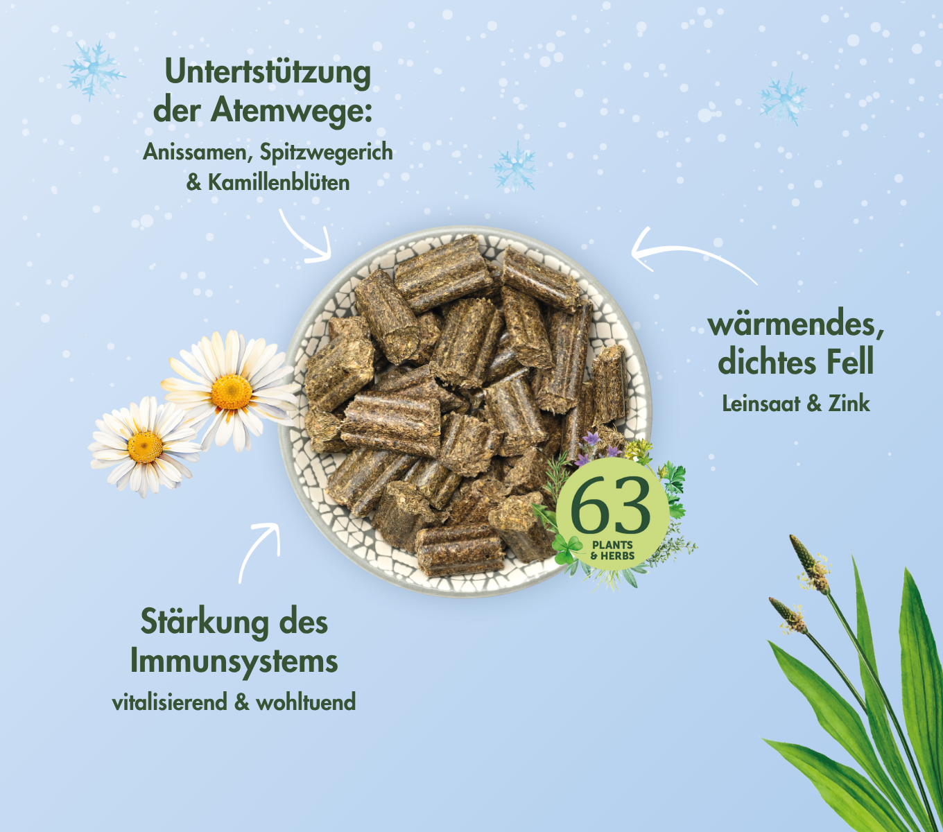 KaninchenTraum WINTER OUTDOOR