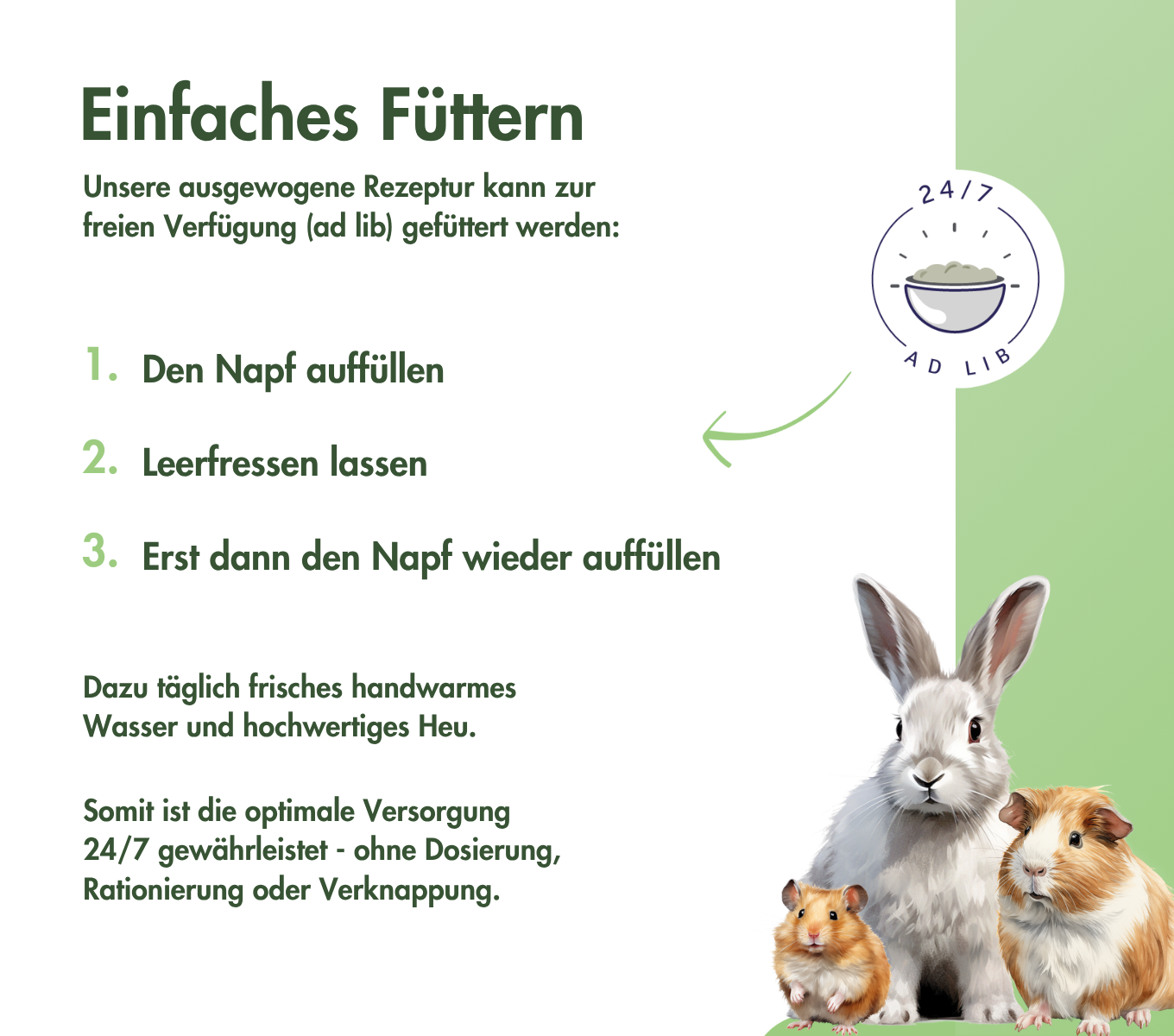 ZwerghamsterTraum BASIC